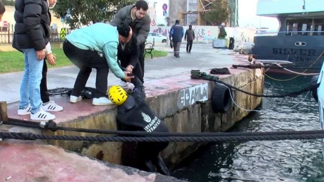 Beşiktaş'ta kedi kurtarma operasyonu: Denize düştü, dalgıça sarıldı 4